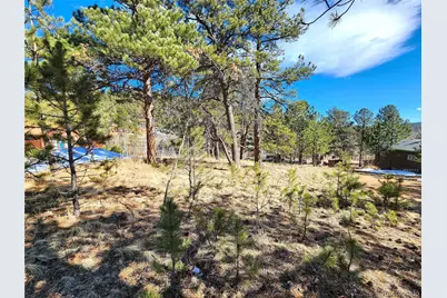 144 Gray Street, Bailey, CO 80421 - Photo 19