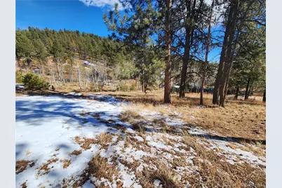 144 Gray Street, Bailey, CO 80421 - Photo 23