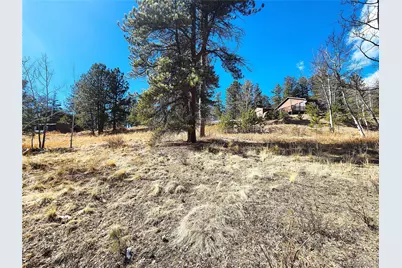 144 Gray Street, Bailey, CO 80421 - Photo 3