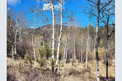 144 Gray Street, Bailey, CO 80421 - Photo 5