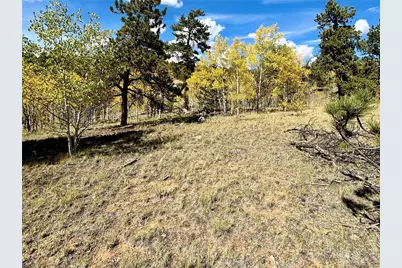 890 McDowell Drive, Jefferson, CO 80456 - Photo 7