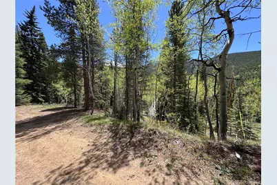 190 Blue Bell Lane, Idaho Springs, CO 80452 - Photo 19
