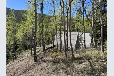 190 Blue Bell Lane, Idaho Springs, CO 80452 - Photo 9