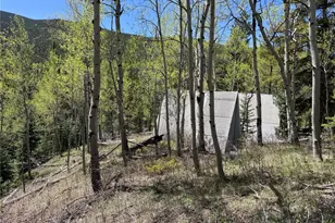 190 Blue Bell Ln, Idaho Springs, CO 80452 - Photo 9