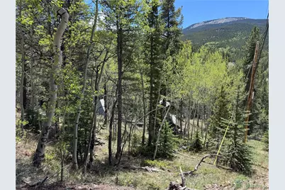 190 Blue Bell Lane, Idaho Springs, CO 80452 - Photo 13