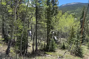 190 Blue Bell Ln, Idaho Springs, CO 80452 - Photo 13