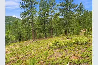 31084 Forest Shadow Trail, Conifer, CO 80433 - Photo 21