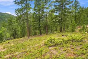 31084 Forest Shadow Trl, Conifer, CO 80433 - Photo 21