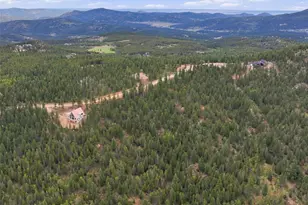 31084 Forest Shadow Trl, Conifer, CO 80433 - Photo 15