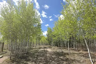 899 Concho Trail, Hartsel, CO 80449 - Photo 23