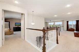 5205 S Haleyville Way, Aurora, CO 80016 - Photo 21
