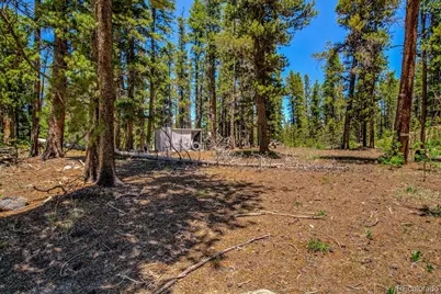 4100 Co Rd 1, Fairplay, CO 80440 - Photo 3