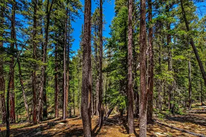 4100 Co Rd 1, Fairplay, CO 80440 - Photo 5