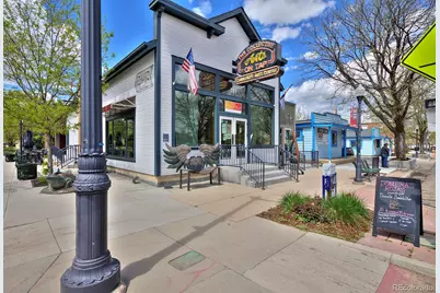 703 Brome Place, Lafayette, CO 80026 - Photo 47