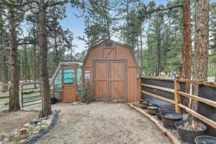 599 Vigilante Ave, Bailey, CO 80421 - Photo 31