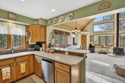 599 Vigilante Avenue, Bailey, CO 80421 - Photo 13