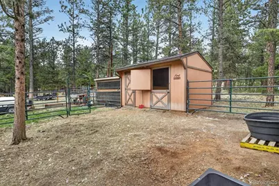 599 Vigilante Avenue, Bailey, CO 80421 - Photo 29