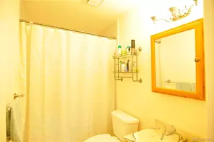 1109 Lilac St, Broomfield, CO 80020 - Photo 15