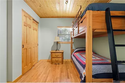 401 Lake Road, Idaho Springs, CO 80452 - Photo 21