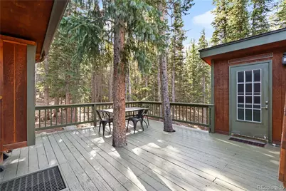 401 Lake Road, Idaho Springs, CO 80452 - Photo 33