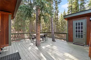 401 Lake Rd, Idaho Springs, CO 80452 - Photo 33