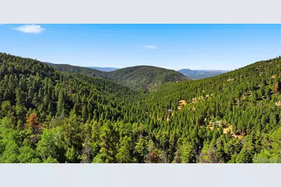 13488 S Firedog Way, Larkspur, CO 80118 - Photo 11