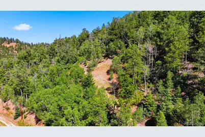 13488 S Firedog Way, Larkspur, CO 80118 - Photo 7