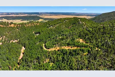 13488 S Firedog Way, Larkspur, CO 80118 - Photo 3