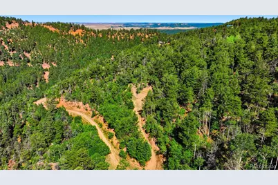 13488 S Firedog Way, Larkspur, CO 80118 - Photo 9