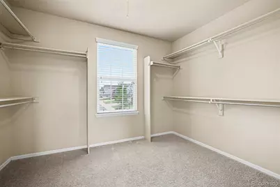3603 Amber Sun Circle, Castle Rock, CO 80108 - Photo 25