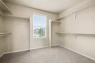 3603 Amber Sun Cir, Castle Rock, CO 80108 - Photo 25
