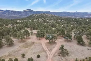 957 Arapahoe Dr, Florissant, CO 80816 - Photo 39