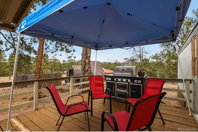 957 Arapahoe Drive, Florissant, CO 80816 - Photo 27