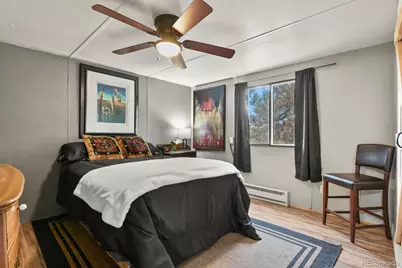 957 Arapahoe Drive, Florissant, CO 80816 - Photo 19