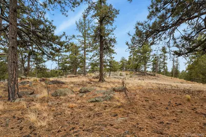 957 Arapahoe Drive, Florissant, CO 80816 - Photo 27