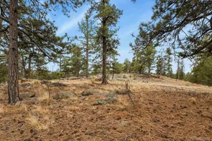957 Arapahoe Dr, Florissant, CO 80816 - Photo 27