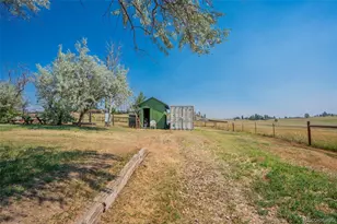 809 Buffalo Trail, Elizabeth, CO 80107 - Photo 41