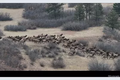 3953 Treadway Point, Castle Rock, CO 80108 - Photo 37