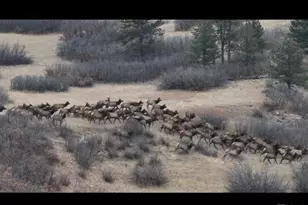 3953 Treadway Pt, Castle Rock, CO 80108 - Photo 37