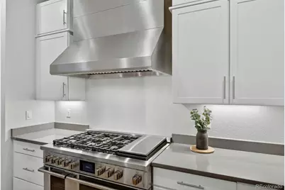 3953 Treadway Point, Castle Rock, CO 80108 - Photo 9