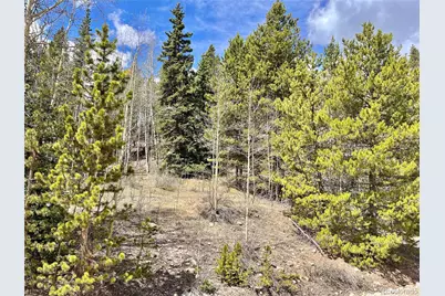 2203 Lakeside Drive, Fairplay, CO 80440 - Photo 13