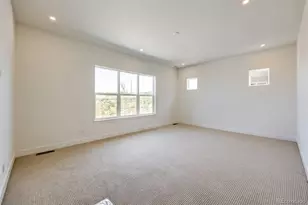 444 Agoseris Wy, Castle Rock, CO 80104 - Photo 17