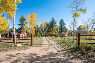 196 Beaver Trail, Bailey, CO 80421 - Photo 3