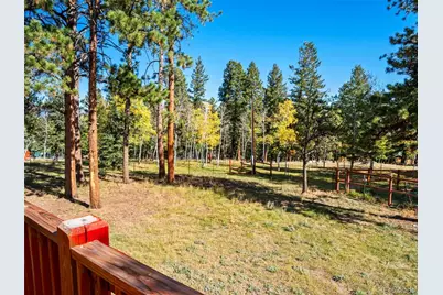 196 Beaver Trail, Bailey, CO 80421 - Photo 13