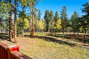 196 Beaver Trail, Bailey, CO 80421 - Photo 13