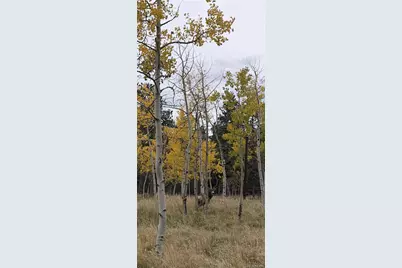 196 Beaver Trail, Bailey, CO 80421 - Photo 15