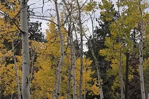 196 Beaver Trail, Bailey, CO 80421 - Photo 15