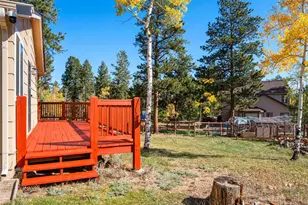 196 Beaver Trail, Bailey, CO 80421 - Photo 43