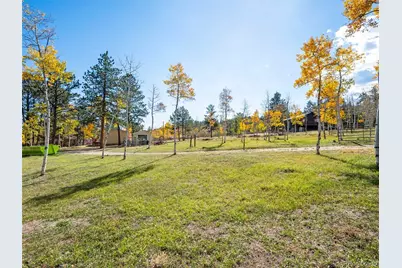 196 Beaver Trail, Bailey, CO 80421 - Photo 5