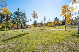 196 Beaver Trail, Bailey, CO 80421 - Photo 5
